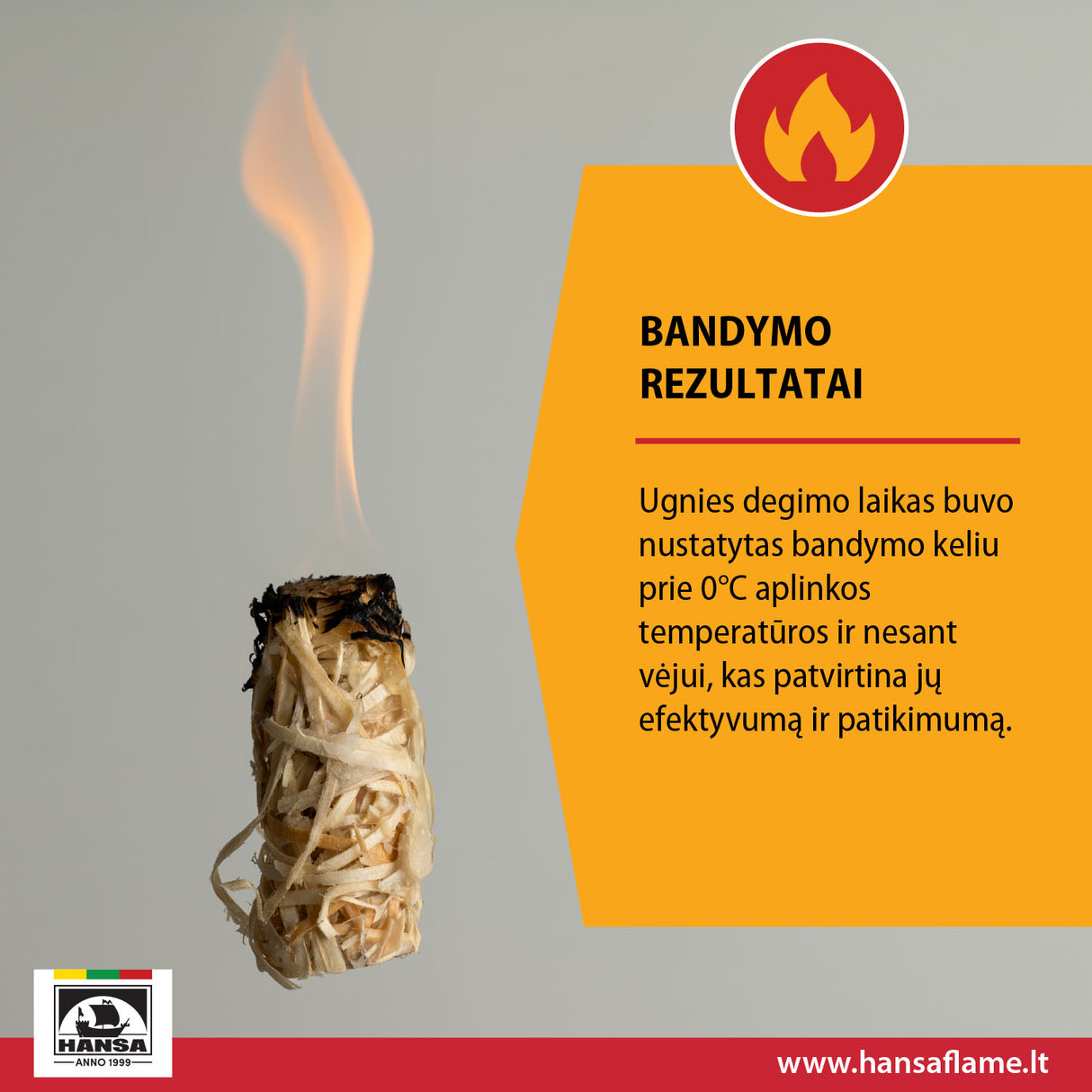 HANSA Fire starters, 2.5 kg