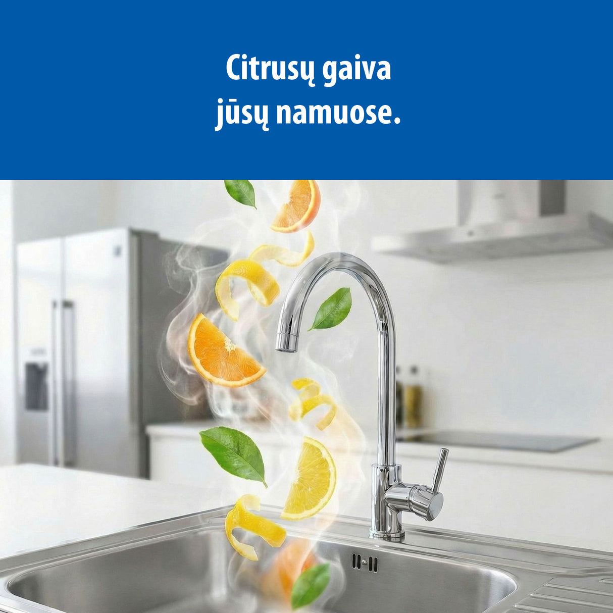 HANSA Rengöringsmedel för rostfritt stål, 500ml