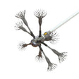 Tornado PRO (⌀17): Aluminum brush head with stainless steel cable, ø 25 cm in diameter. Brushes Hansaflame