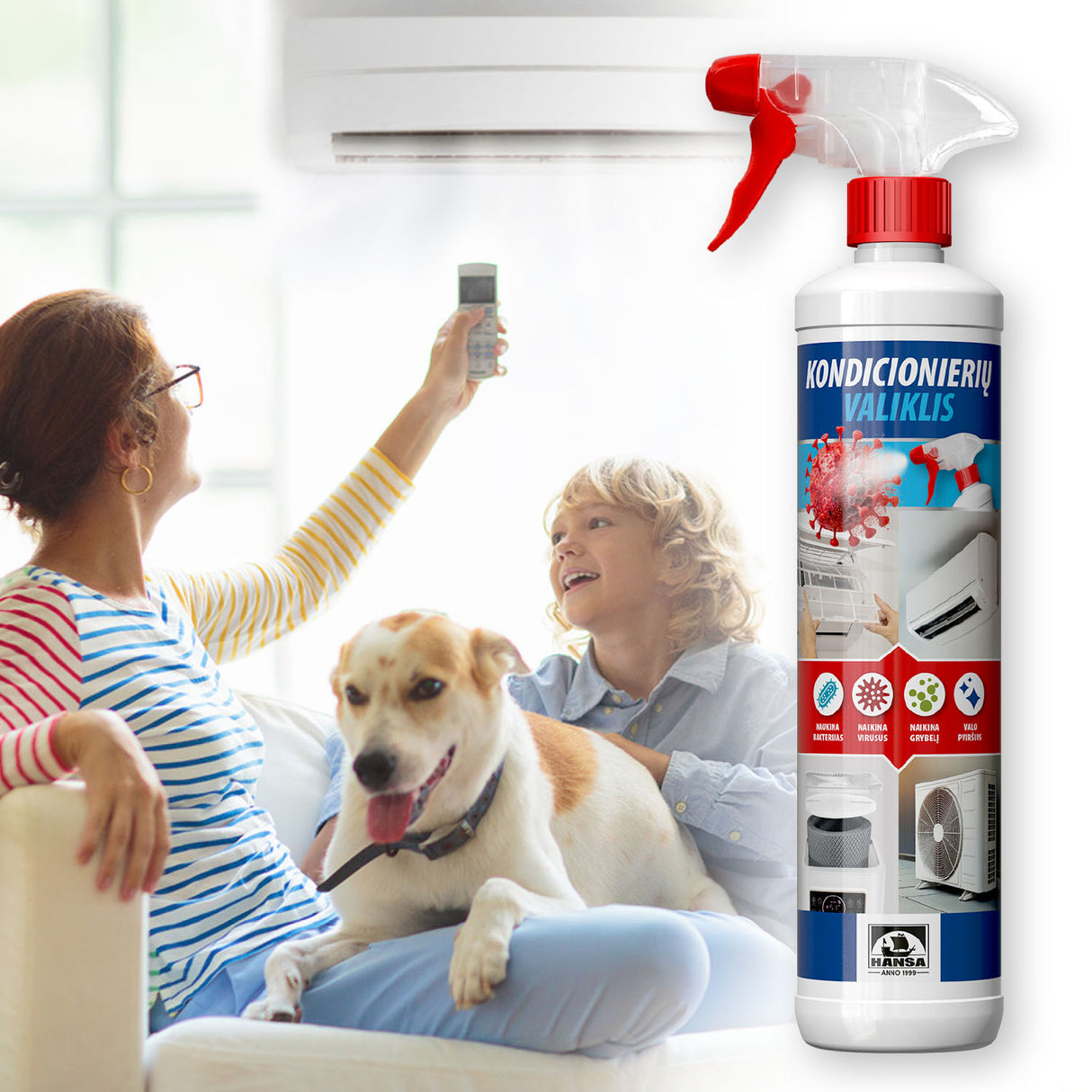 HVAC air conditioner cleaning solution for home use